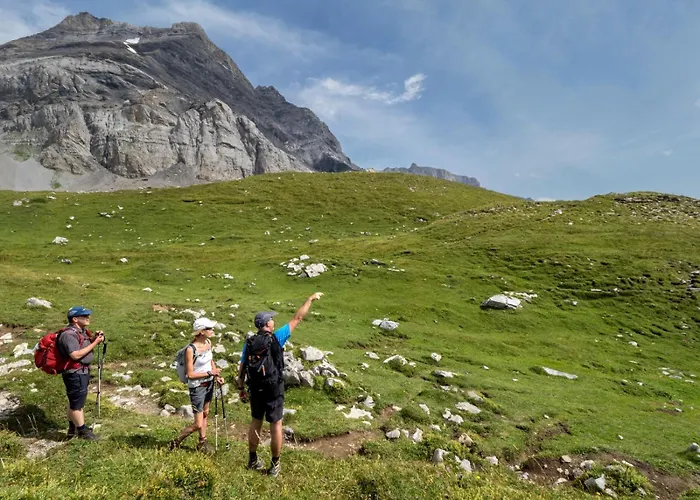 Apartament Beau Sejour 3 Pieces 401 A *