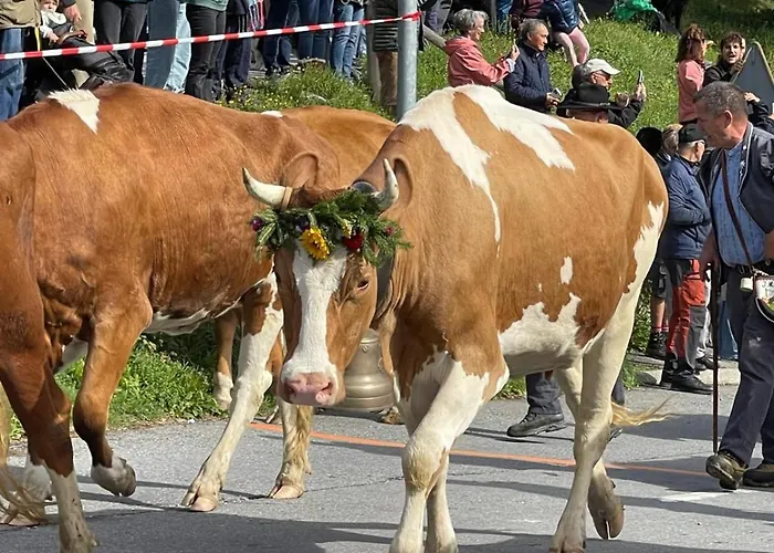 Beau Sejour 3 Pieces 401 A Gryon